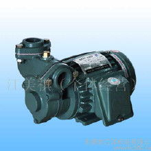 亞士霸油泵價(jià)格 亞士霸油泵批發(fā) 亞士霸油泵廠(chǎng)家 