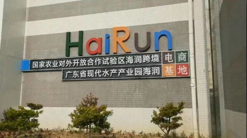 著力優化營商環境,加速壯大海灣經濟